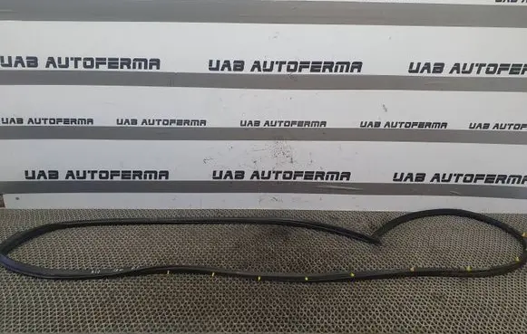 KIA Rio Front door rubber seal