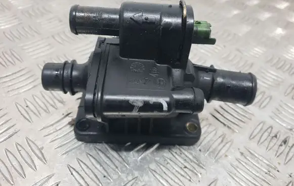 Thermostat/thermostat housing