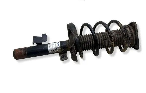Ford Focus Front shock absorber with coil spring 313283