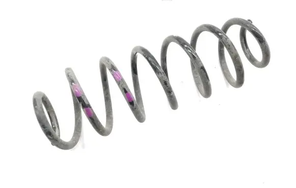 Rear coil spring