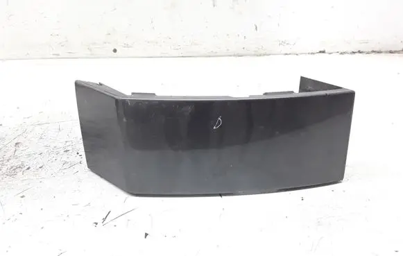 Rear/tail light trim molding