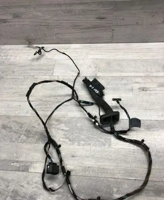 Rear door wiring loom