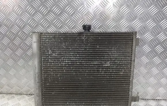 Citroen C3 Air conditioning (A/C) radiator (interior) 