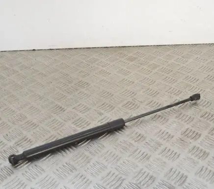 Dacia Sandero Tailgate/trunk strut/damper 904529943R