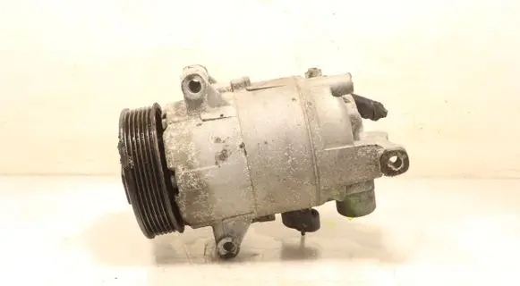 Skoda Octavia Mk2 (1Z) Air conditioning (A/C) compressor (pump) 10144073922B