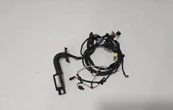 Front door wiring loom