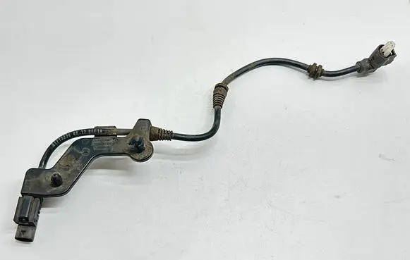Other wiring loom