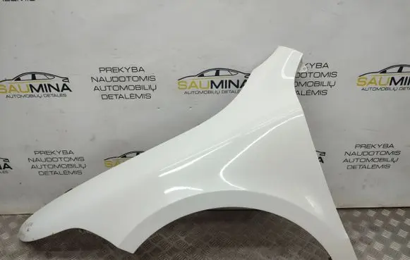 Skoda Superb B6 (3T) Fender