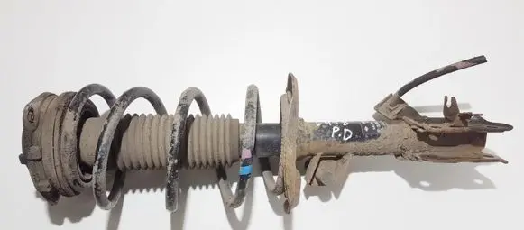 Nissan Qashqai Front shock absorber/damper 54302jd01a 824903002933