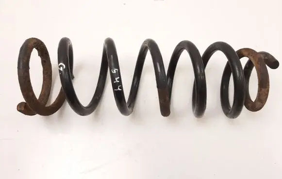 Rear coil spring