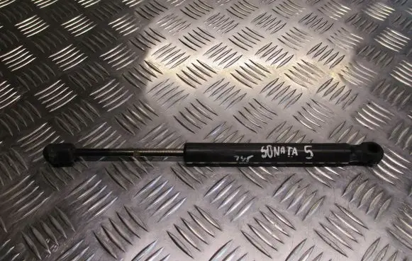 Hyundai Sonata Tailgate hydraulic set 