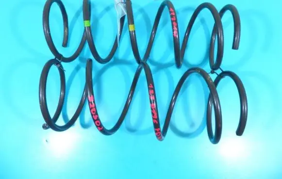 Front coil spring