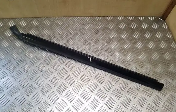 Rear door glass trim molding