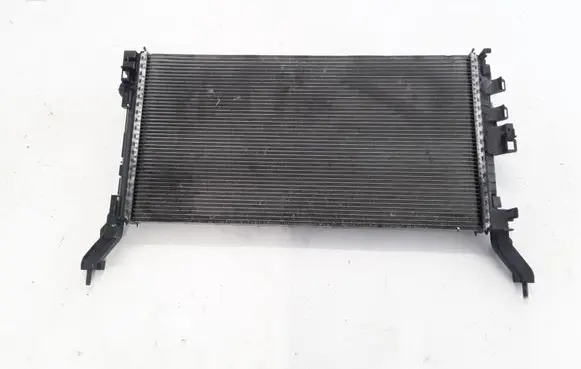 Renault Laguna III Coolant radiator 214000035R