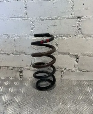 Toyota RAV 4 (XA40) Rear coil spring