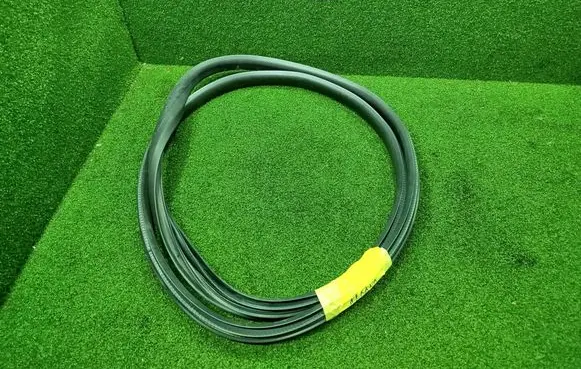 Renault Arkana Rear door rubber seal (on body) 