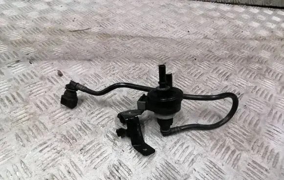 Renault Captur Vacuum valve 8200248821 269516045