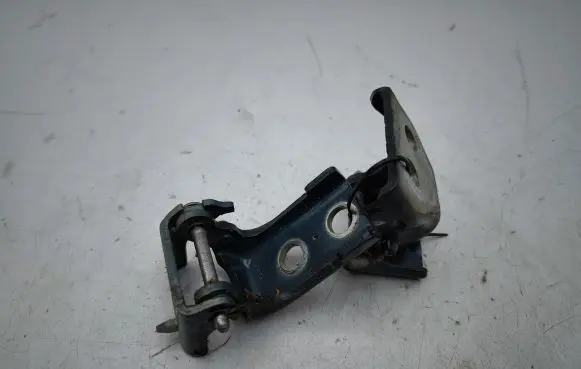Citroen DS4 Rear door hinge set 