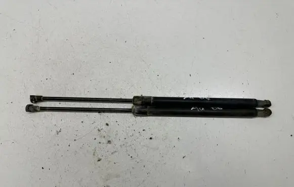 Tailgate/trunk strut/damper