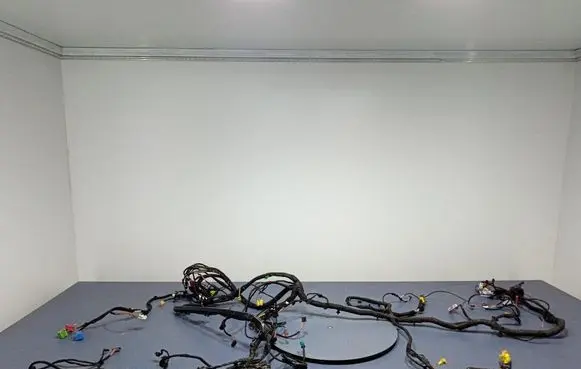Other wiring loom