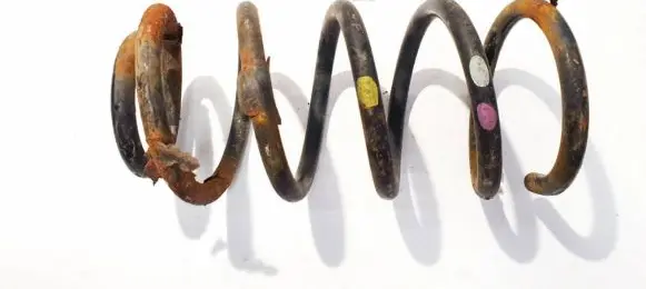 Hyundai Santa Fe Rear coil spring