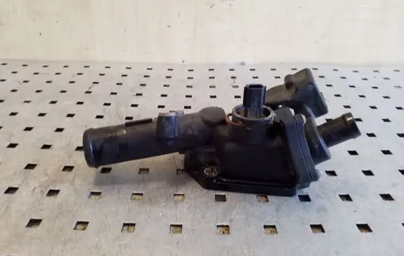 Thermostat/thermostat housing