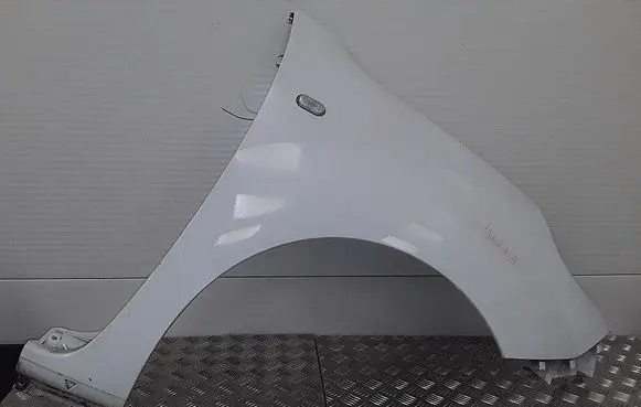 Renault Kangoo II Fender 