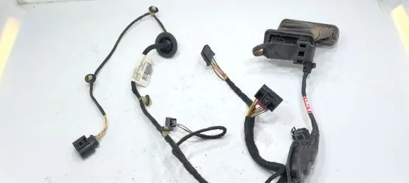 Volkswagen PASSAT B7 Rear door wiring loom 3AA971693CB