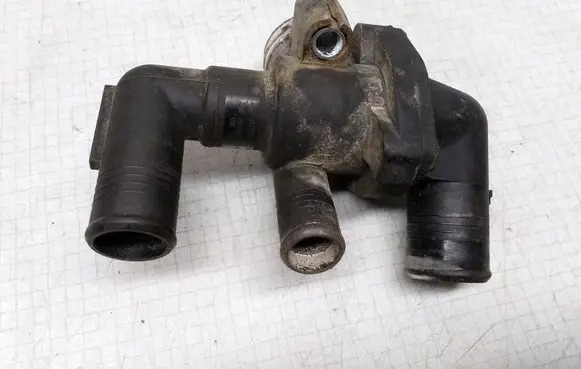 Thermostat/thermostat housing