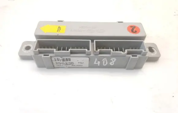 Hyundai Grandeur Other control units/modules 919403L020
