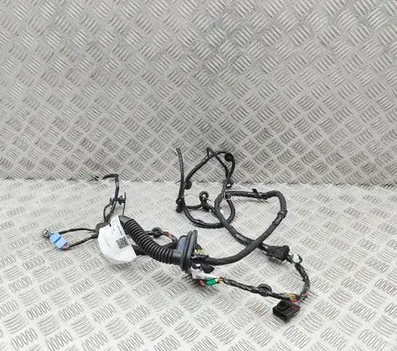 Tesla Model 3 Highland Front door wiring loom 189732102B