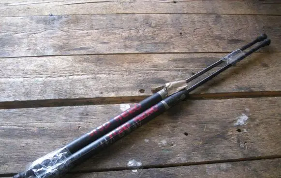 Honda Civic Tailgate strut 