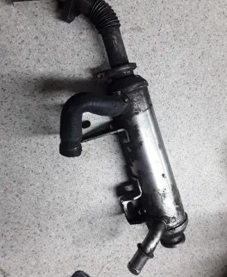 Fiat Croma EGR valve line/pipe/hose 55202430