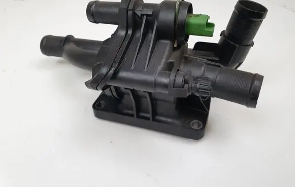 Thermostat/thermostat housing