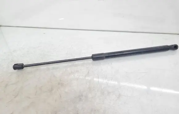 Opel Insignia A Tailgate/trunk strut/damper 22798954