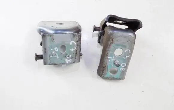 Citroen C3 Rear door hinge set 