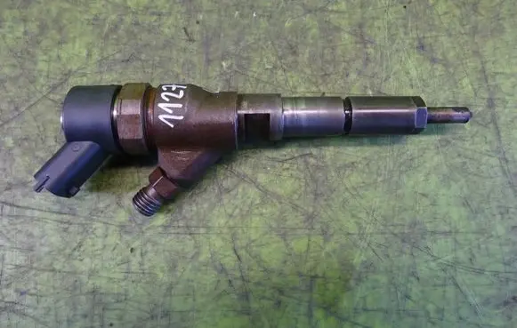 Citroen C5 Fuel injector 0445110076