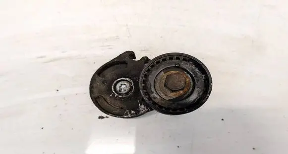 Peugeot 206 Generator/alternator belt tensioner 