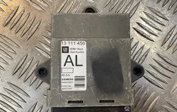 Opel Signum Door control unit/module 360572197 13111456 5WK46001