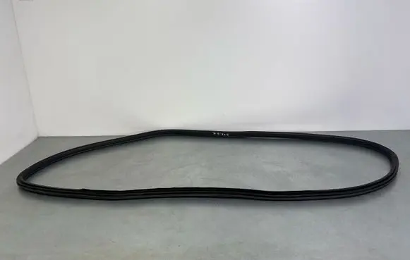 BMW 2 F46 Rear door rubber seal (on body) 7316818