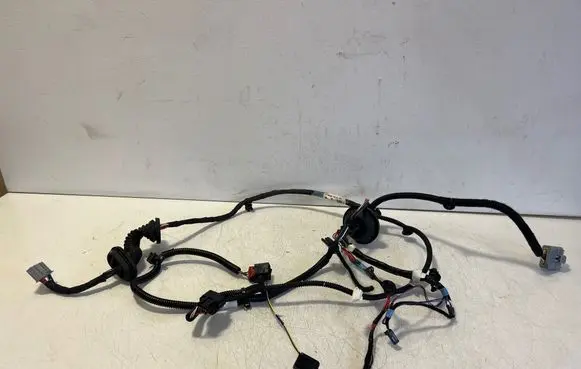 Tesla Model S Rear door wiring loom 1004426