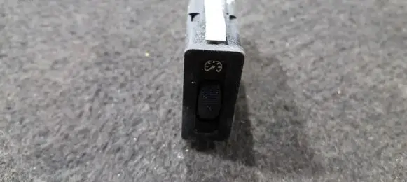 Panel lighting control switch