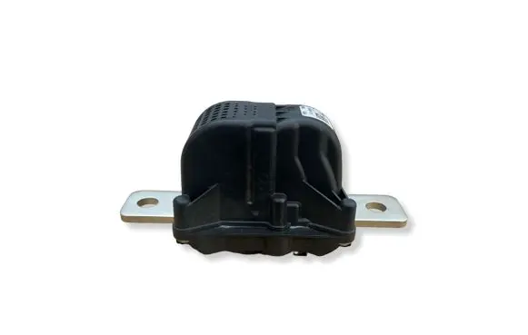 Tesla Model 3 Fuse 109515400C