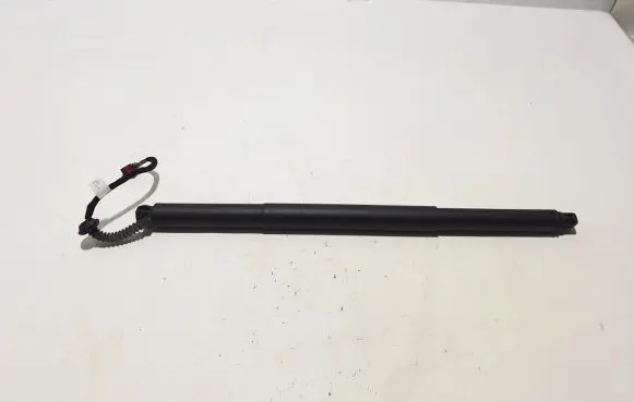 Tailgate strut