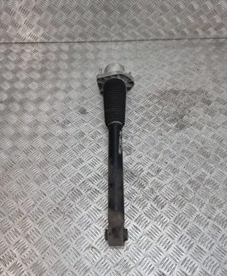 Land Rover Range Rover Sport L494 Rear shock absorber/damper