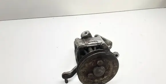 BMW 5 E34 Power steering pump 1132987