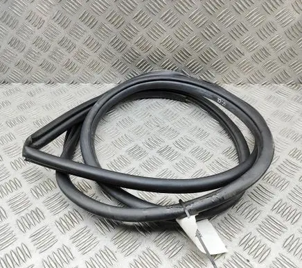 Toyota bZ4X Rubber seal rear door 6233142110