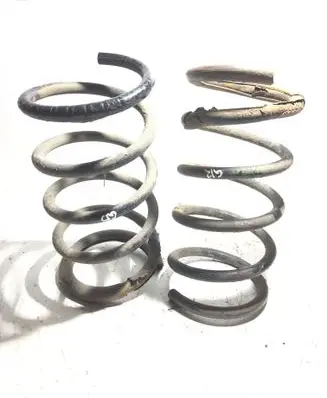 Rear coil spring