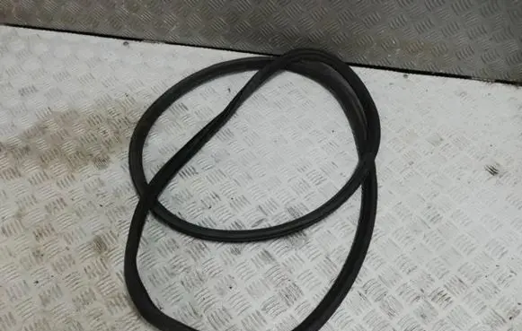 Citroen C3 Aircross Front door rubber seal