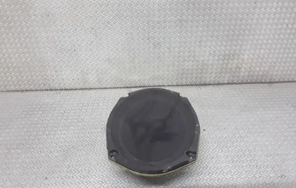 Chrysler 300 - 300C Rear door speaker P05059063AB